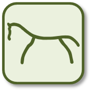 Ellie's Horse Logo